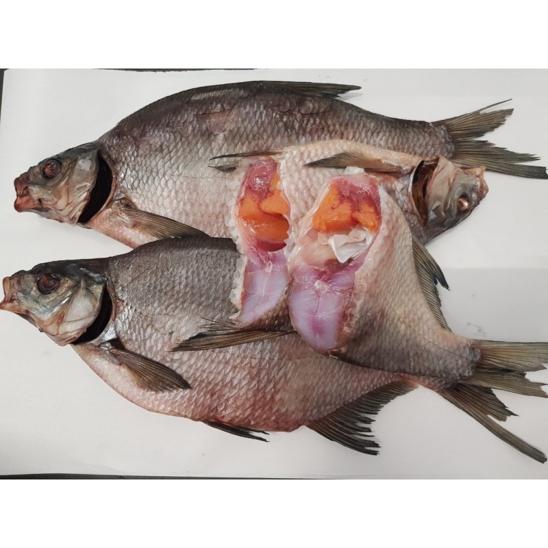 Всё о рыбе Пеляди: вкусовые качества и характеристики