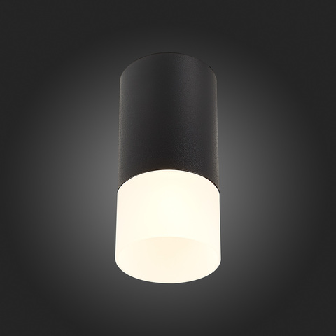 Светильник потолочный ST Luce ST100.412.01