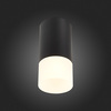 Светильник потолочный ST Luce ST100.412.01