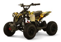 Детский электрический квадроцикл RiverToys MARK 1200W