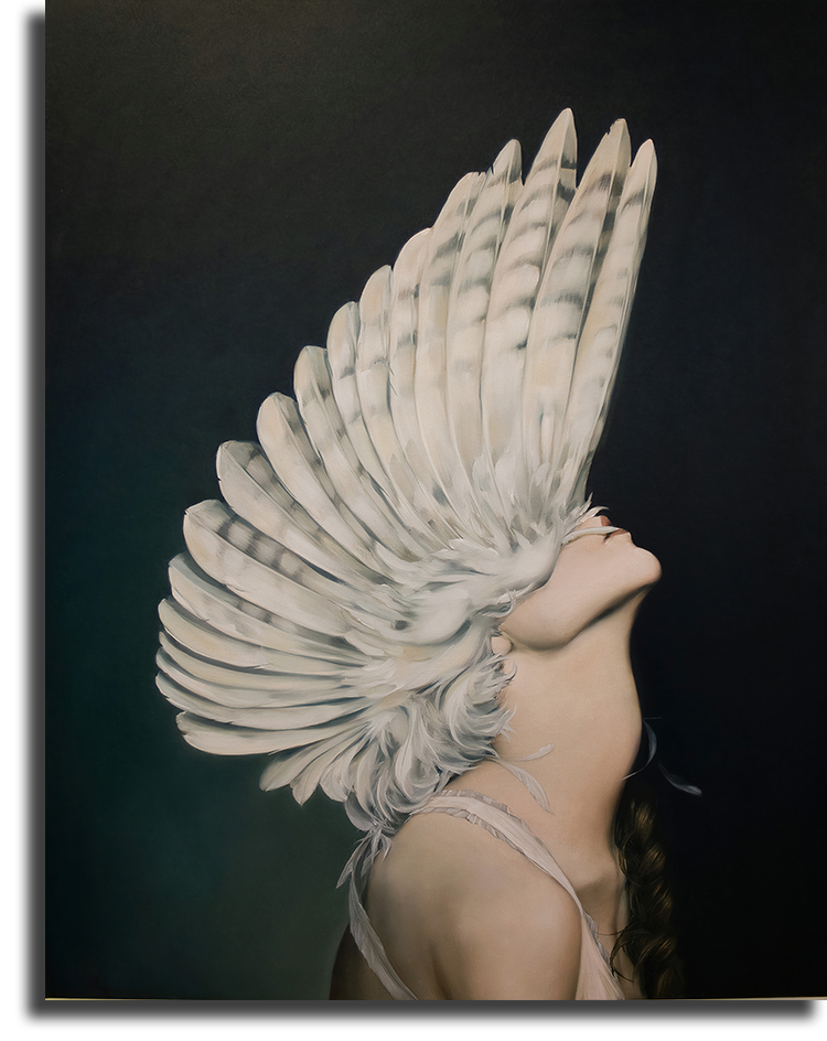 Картина крылья. Эми Джадд Amy Judd. Художник Эми Джадд. Эми Джадд Крылья. Птицы Эми Джадд.