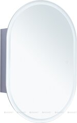 Aquanet 344788 Зеркальный шкаф Монте (овал) 60х90 LED (344788) фото