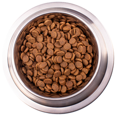 Monge Dog VetSolution Dog Gastrointestinal для собак при заболеваниях ЖКТ 2 кг