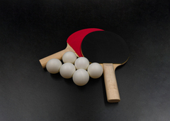 Всепогодный теннисный стол Outdoor