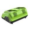 Ультрабыстрое двойное зарядное устройство Greenworks G24X2C8, 24V, 8A (2958807) — фото 5
