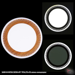 24618-9.0-001TM LED18+6W  WDA/DL+DL панель светодиодная