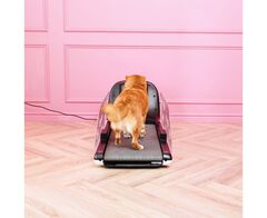 Беговая дорожка Yesoul T-Q1