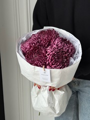 Моно из одноголовой хризантемы сливового оттенка 5 шт