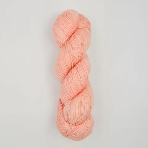 Symfonie Terra SS2023