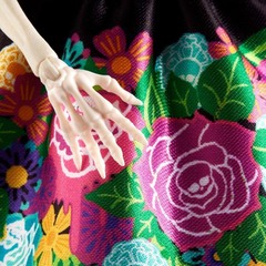 Скелита Калаверас. Коллектор