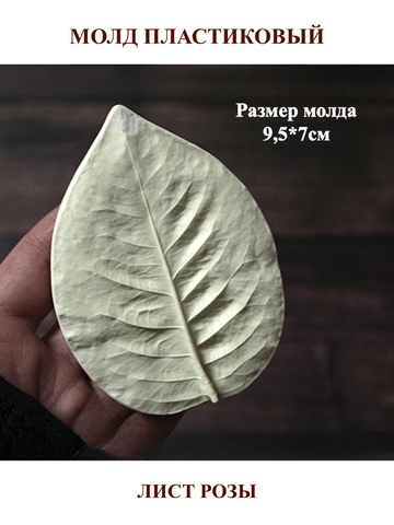Молд 