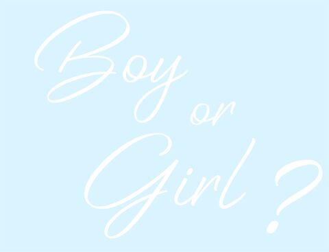 Наклейка, Boy or Girl, на шар 12