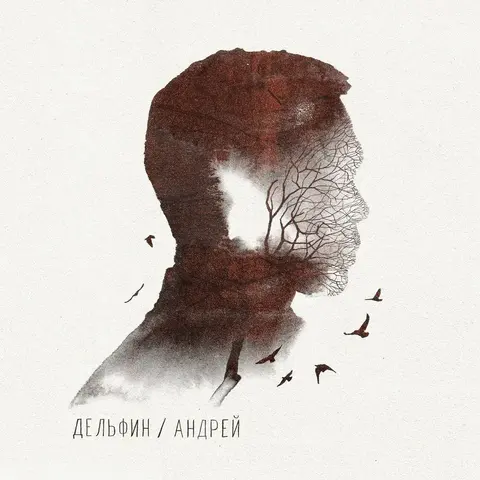 Виниловая пластинка. Дельфин - Андрей