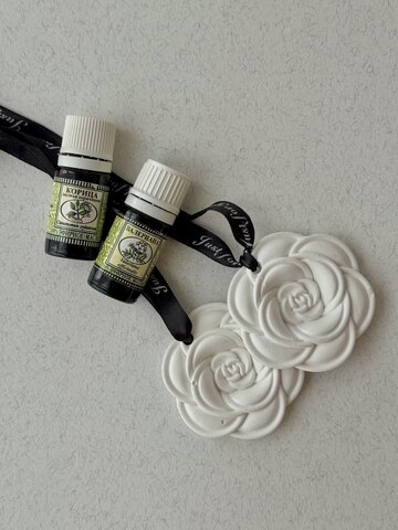 Аромадиффузор гипсовый