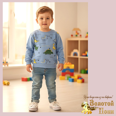 Свитшот трикотаж м (74-98) 251205-Y5122