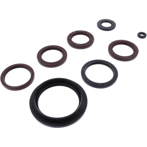 Комплект сальников двигателя P400510400072