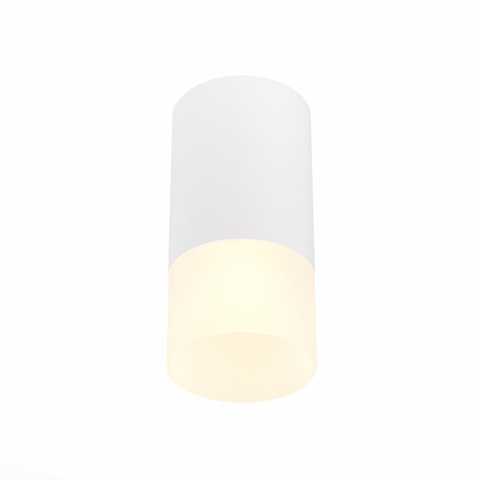 Светильник потолочный ST Luce ST100.512.01