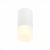 Светильник потолочный ST Luce ST100.512.01