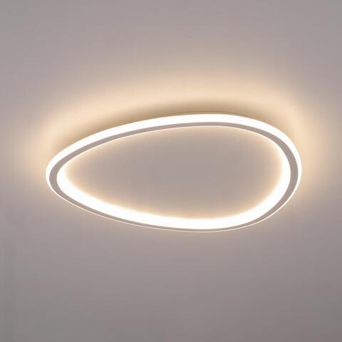 Потолочный светодиодный светильник Citilux Тrio CL215B250E