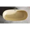 Salini SOFIA 185x90 102519GRF Ванна отдельностоящая S-Sense, глянцевый, RAL полностью