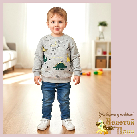 Свитшот трикотаж м (74-98) 251205-Y5118