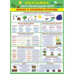 
          Плакат обучающий, 505 мм * 697 мм, "Обучайка. Окружающий мир. Живая и неживая природа". Мир Открыток, картон