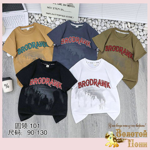 Футболка хлопок м (1-6) 260119-SL6102