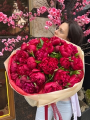 Пионы