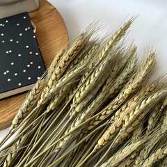 Колосья пшеницы натуральные, сухоцвет, цвет натуральный, примерно 95-100 шт. колосьев в пучке, 50 см.