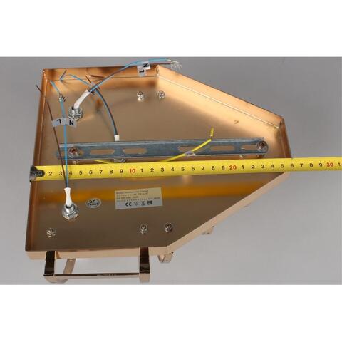 Настенный светильник Aployt Rozel APL.770.01.03