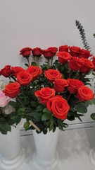 Роза Nina High Connection Flowers