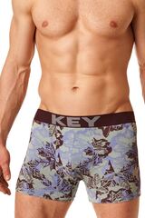 Облегающие боксеры мужские KEY MXH 511 B22 _Голубой + коричневый