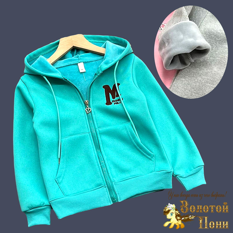 Толстовка на меху д (5-9) 240826-GF1403