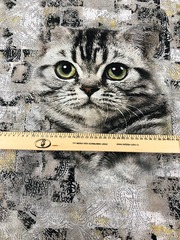 Кулирка Котик купон 78см 180г/м ш180см компакт Пенье