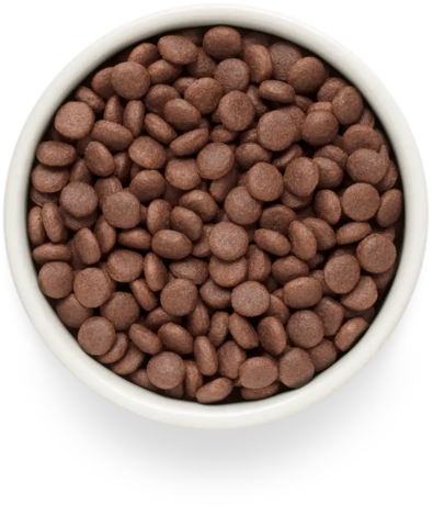 PREMIER Свежее мясо ягненка с индейкой для взрослых собак средних пород