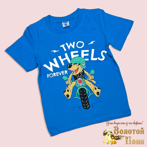 Футболка хлопок м (5-8) 260420-Y716