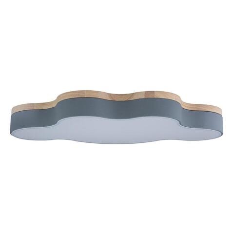Потолочный светильник Loft It Axel 10005/36 Grey