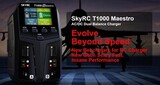 Зарядное устройство SkyRC T1000 AC 450 Вт, DC 1000 Вт, 20 А, 1-6S Lipo, 2 канала