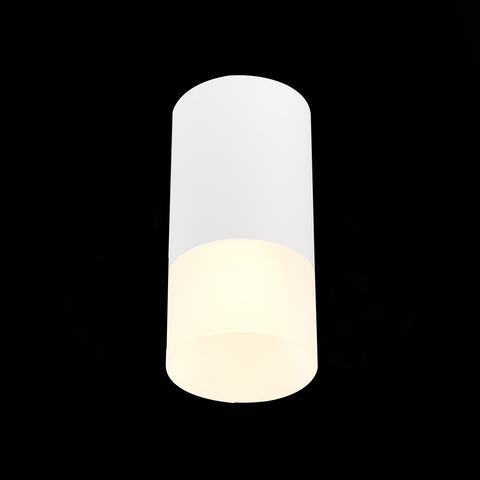 Светильник потолочный ST Luce ST100.512.01