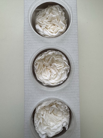 Роза сортовая 6-7см Айвори (цена за 3шт)