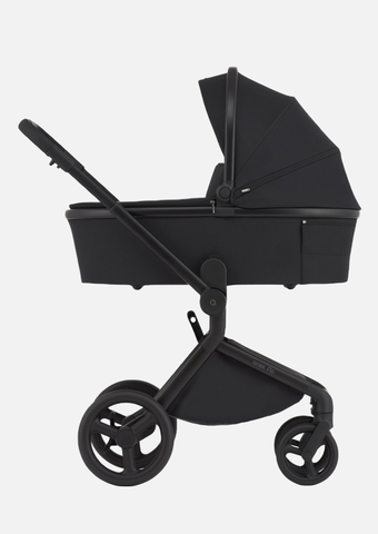 Anex Детская коляска Flo 3 в 1 Astra