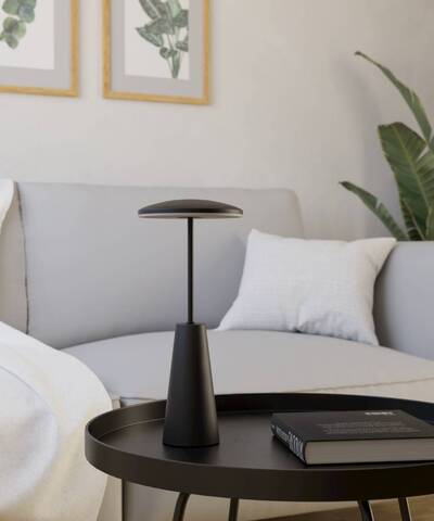 Аккумуляторная настольная лампа Eglo PICCOLA 900925