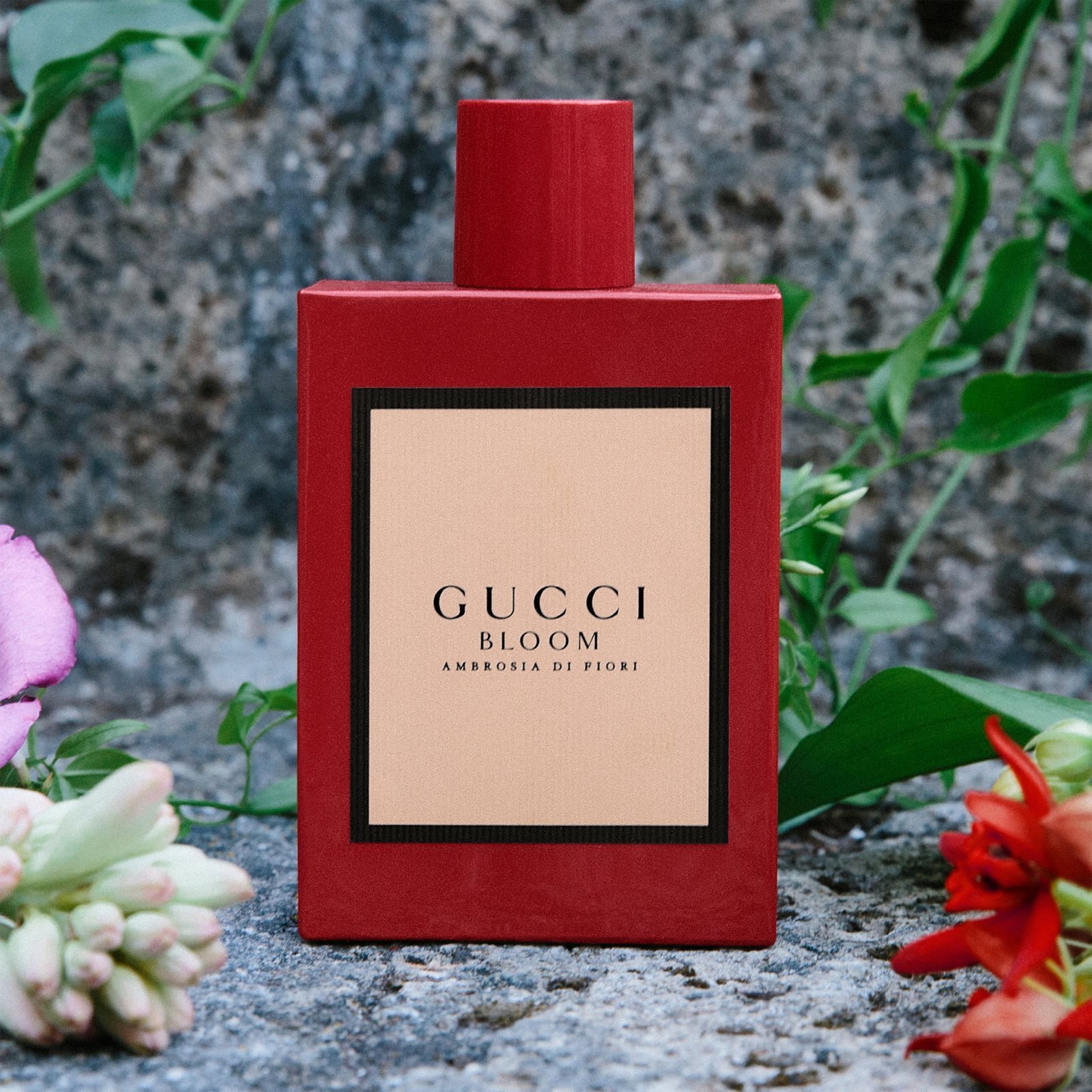 Gucci Bloom Ambrosia di Fiori