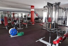 Стойка для олимпийских дисков Aerofit IFPTO