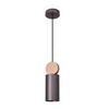 Светильник подвесной Favourite Otium 2215-1P