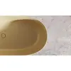 Salini SOFIA 185x90 102519GRF Ванна отдельностоящая S-Sense, глянцевый, RAL полностью