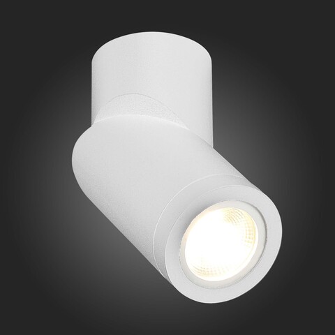 Светильник потолочный ST Luce ST650.502.01
