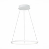 Светильник подвесной ST Luce ST603.543.22