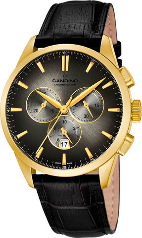 Наручные часы Candino C4518/8 фото