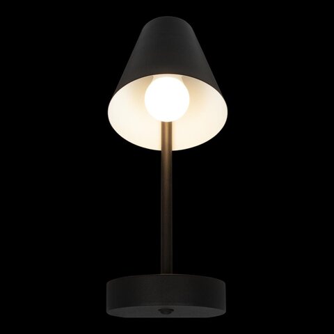 Настенный светильник Loft It Shelf 10216/1W Black
